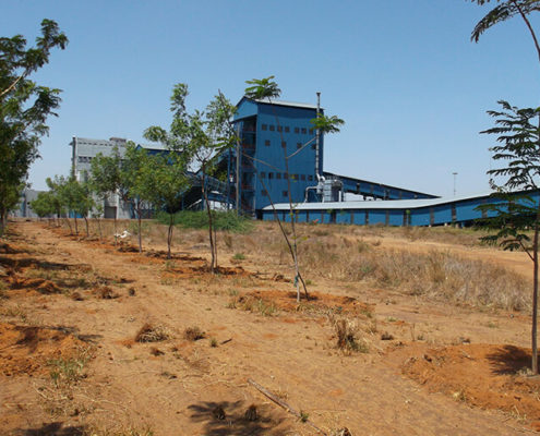 Institutional Landscape Contractors in Chennai