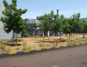 Plantscape Contractors in Chennai