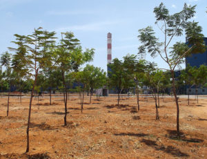 Landscape Developers in TamilNadu